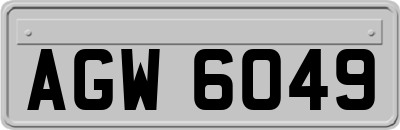 AGW6049