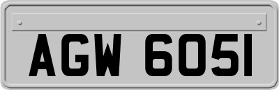 AGW6051