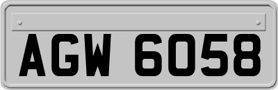 AGW6058
