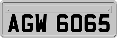 AGW6065
