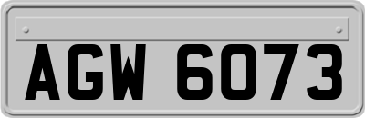 AGW6073