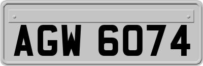 AGW6074