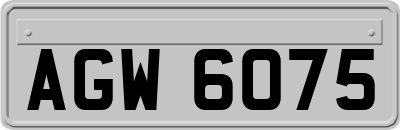 AGW6075