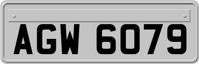 AGW6079