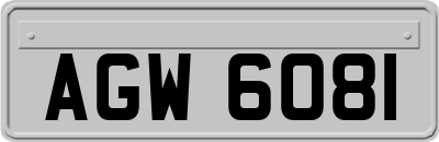 AGW6081