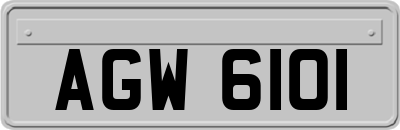 AGW6101