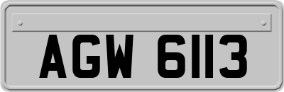 AGW6113