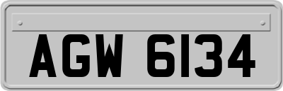 AGW6134