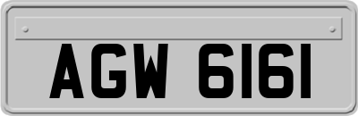 AGW6161