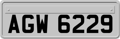 AGW6229