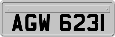 AGW6231
