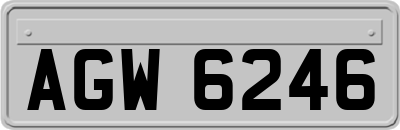 AGW6246