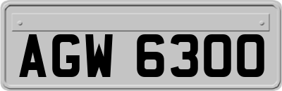AGW6300