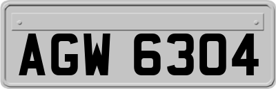 AGW6304