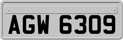 AGW6309