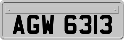 AGW6313