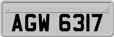 AGW6317