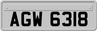 AGW6318