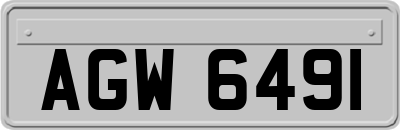 AGW6491
