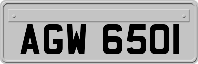 AGW6501