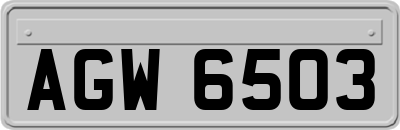 AGW6503
