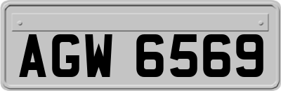 AGW6569