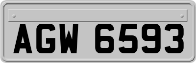 AGW6593