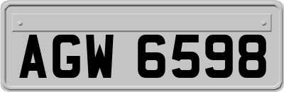 AGW6598