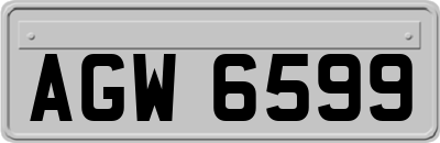 AGW6599