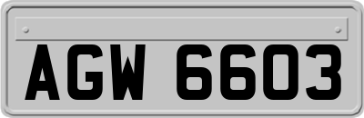 AGW6603