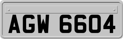 AGW6604