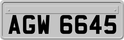 AGW6645