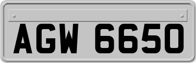 AGW6650