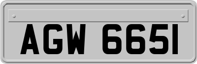 AGW6651