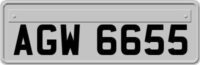 AGW6655