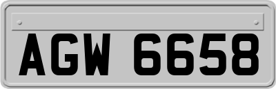 AGW6658