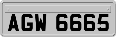 AGW6665