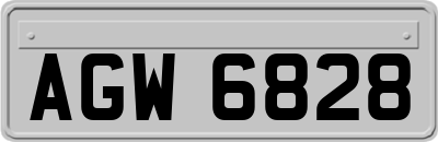 AGW6828