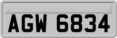 AGW6834