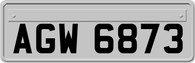 AGW6873