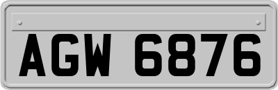 AGW6876