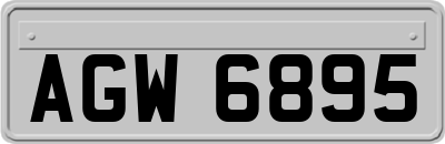 AGW6895