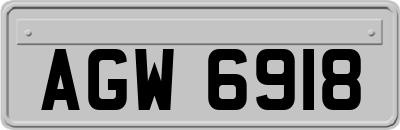 AGW6918