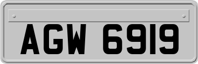 AGW6919