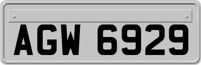 AGW6929