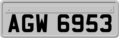 AGW6953