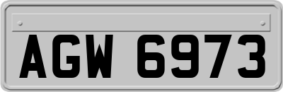 AGW6973