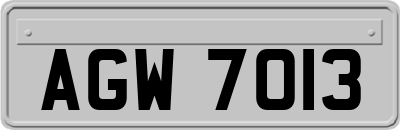 AGW7013