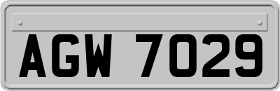 AGW7029