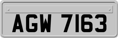 AGW7163